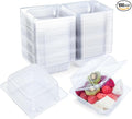 Evnlo 100 Count Clear Plastic Containers by EvnloWomensAccessories