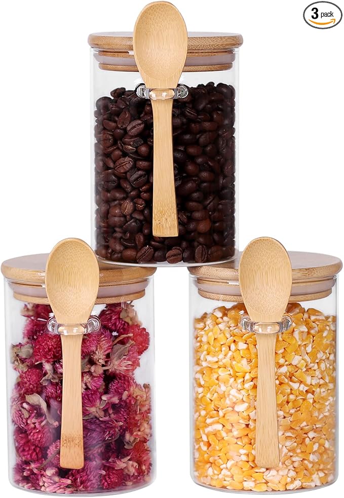 Glass Jar with Bamboo Lid and Spoon, 3 Pack 16 OZ Tea Containers by LEAVES+AND+TREES+Y