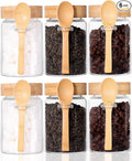 Glass Jar with Screw Lid and Spoon, 6 Pack16 OZ Tea Containers by LEAVES+AND+TREES+Y