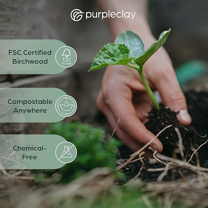 PURPLECLAY Wooden Knives Disposable – 300 Piece Wood Compostable Knives - Image 5