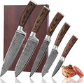 Wakoli EDIB 5-Piece Damascus Knife Set, Professional Kitchen Knives made of by Wakoli